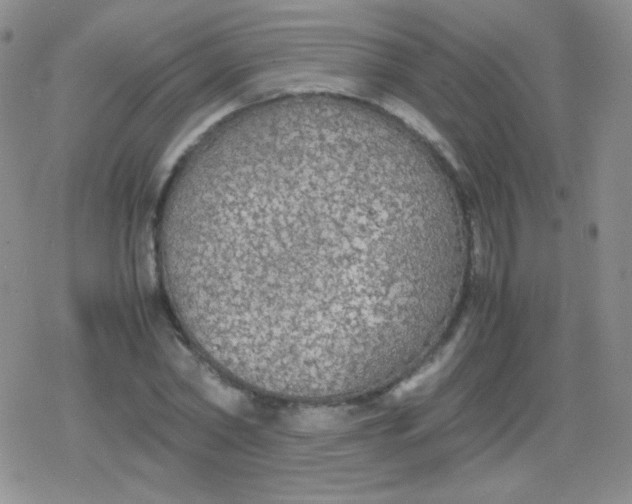 X0000079320782200612081933