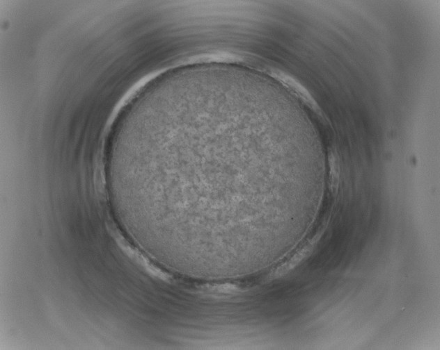 X0000079320784200612081933