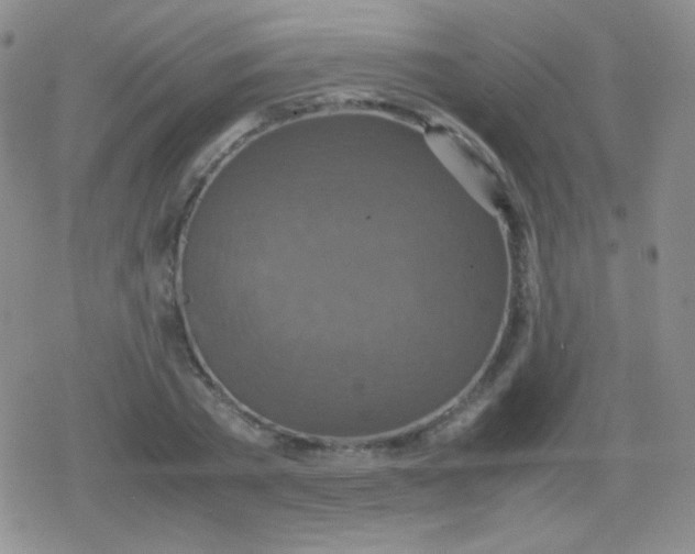 X0000079320785200612081933