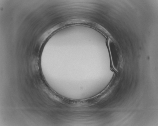 X0000079320786200612081933