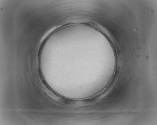 X0000079320787200612081933