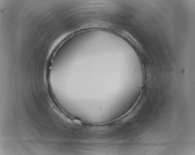 X0000079320788200612081933