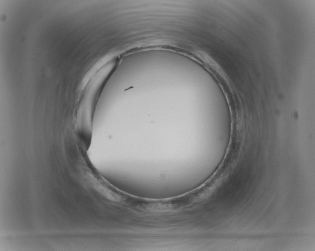 X0000079320789200612081933