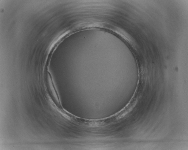 X0000079320790200612081933