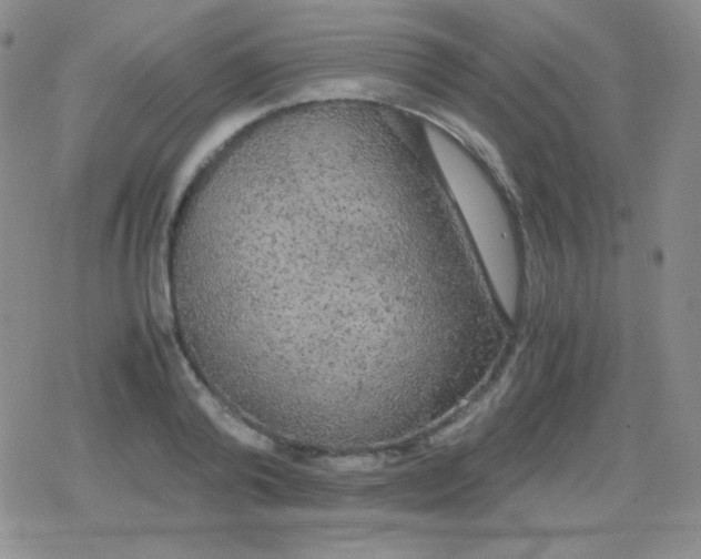 X0000079320792200612081933