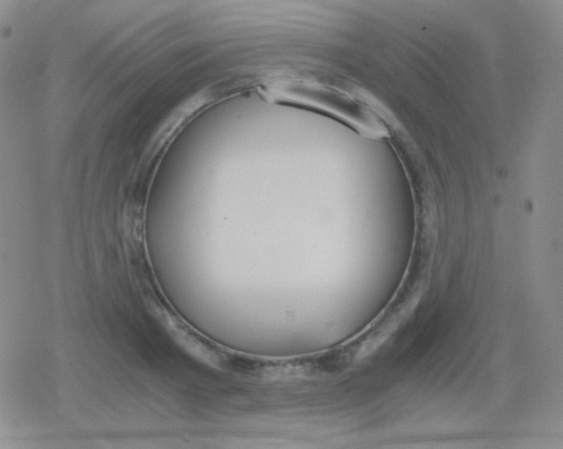 X0000079320793200612081933