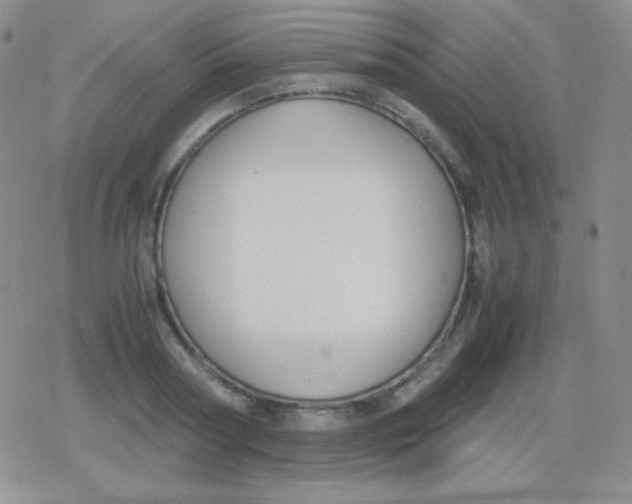 X0000079320794200612081933