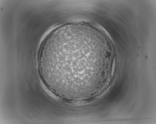 X0000079320795200612081933