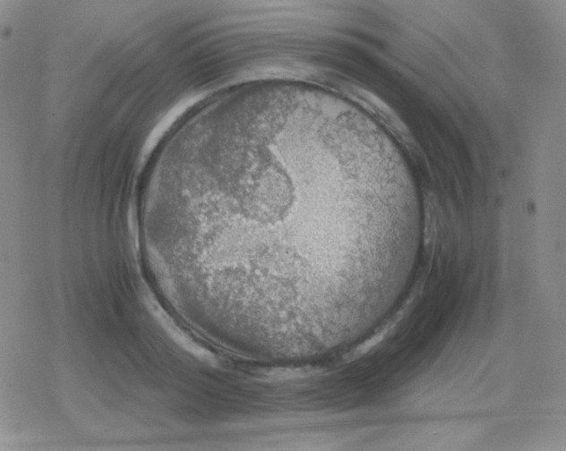 X0000079320796200612081933