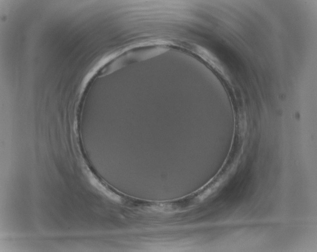 X0000079320797200612081933