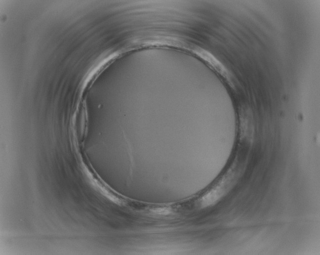 X0000079320798200612081933