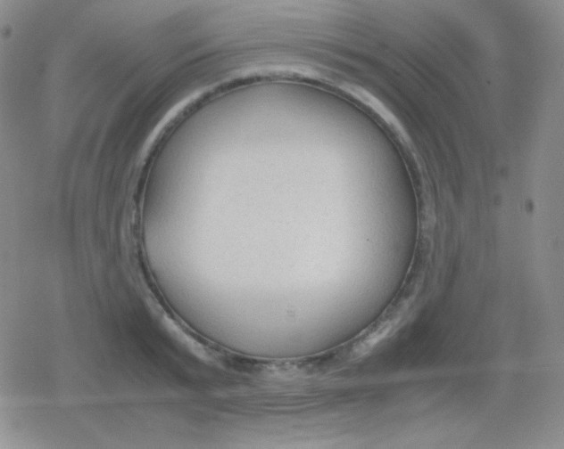 X0000079320799200612081933