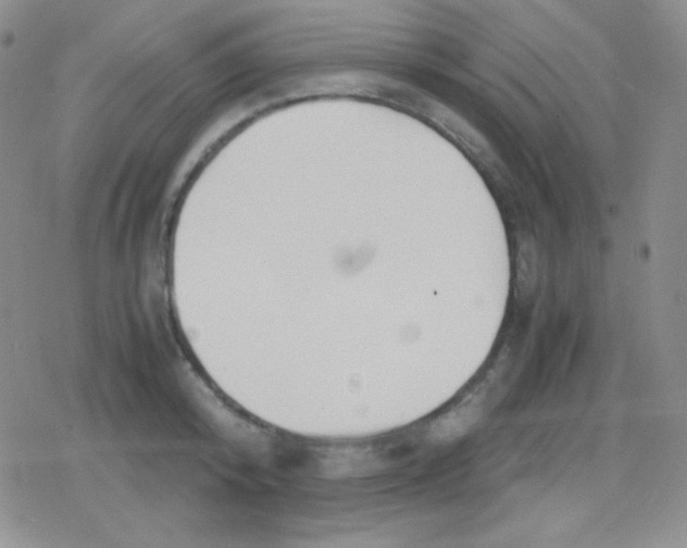 X0000079320800200612081933