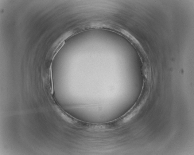 X0000079320801200612081933