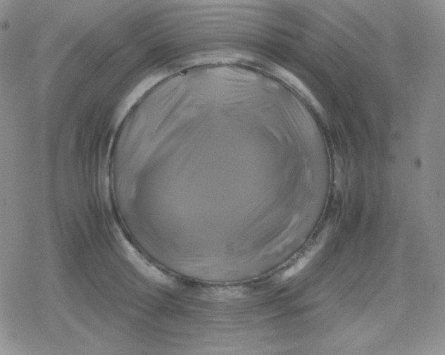 X0000079320802200612081933