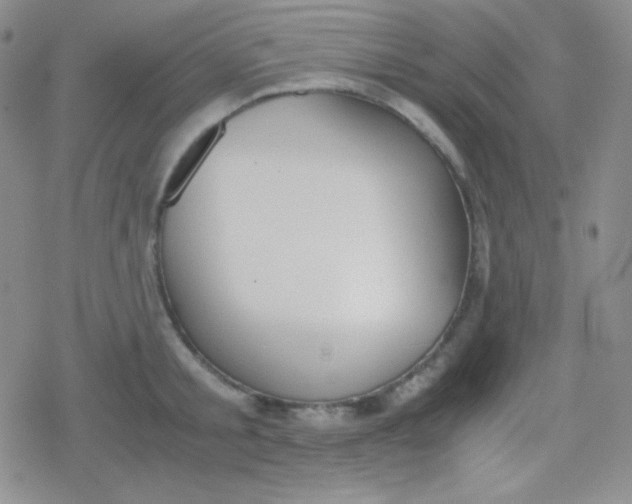 X0000079320805200612081933