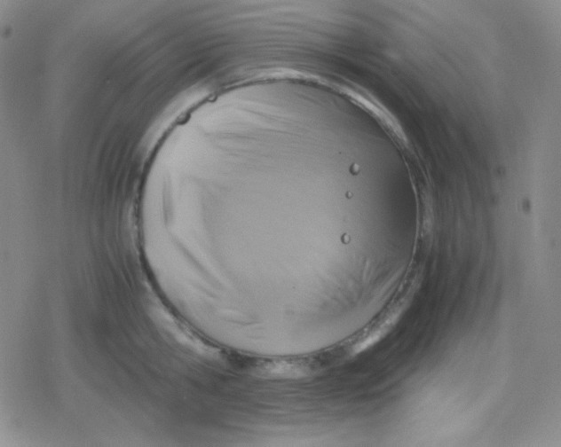 X0000079320806200612081933