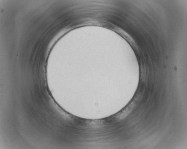 X0000079320808200612081933