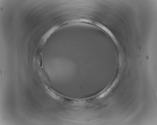 X0000079320809200612081933