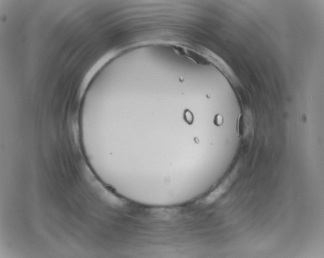 X0000079320812200612081932