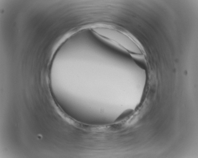 X0000079320813200612081932