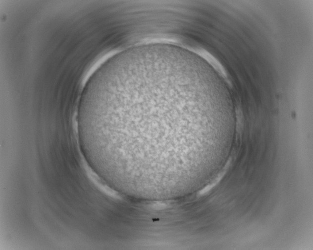 X0000079320814200612081932