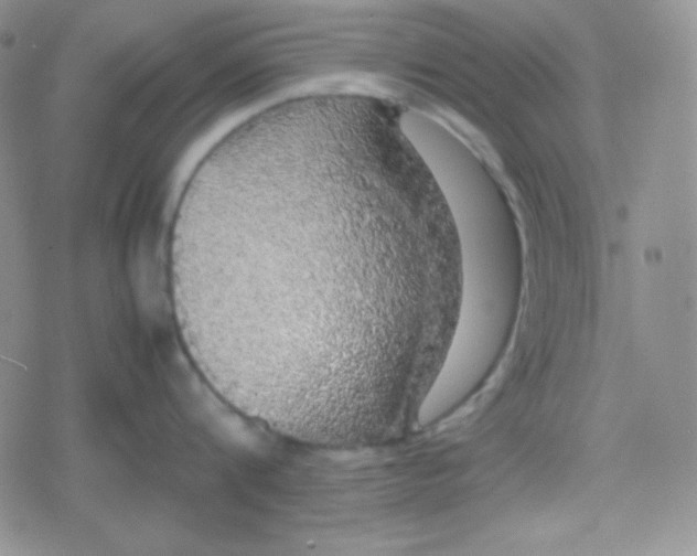 X0000079320816200612081932