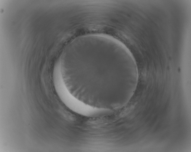 X0000079320817200612081932