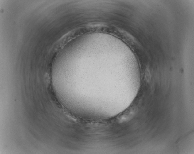 X0000079320821200612081932