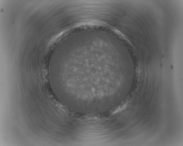 X0000079320822200612081932