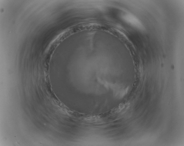 X0000079320823200612081932