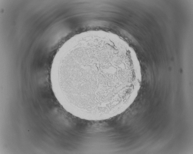 X0000079320824200612081932