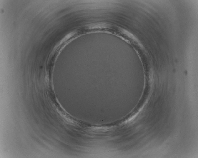 X0000079320825200612081932