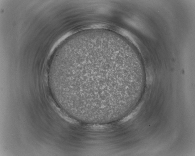 X0000079320827200612081932