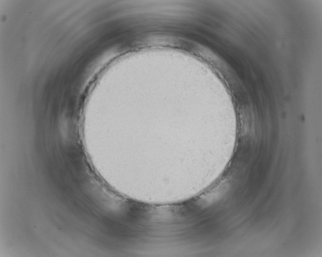 X0000079320828200612081932