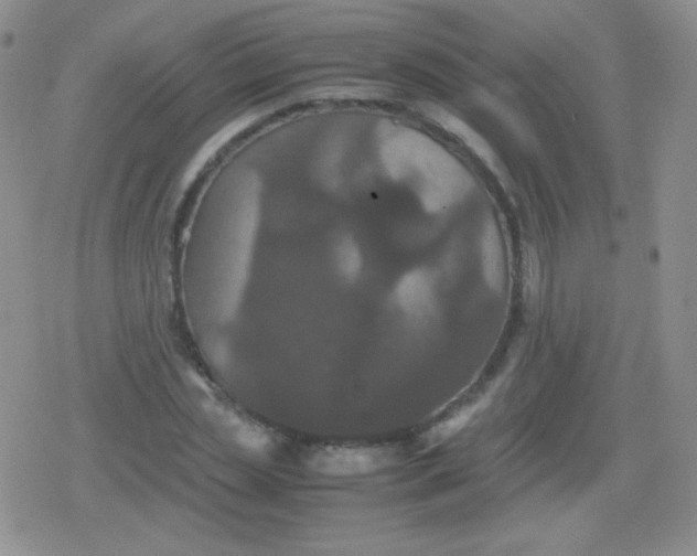 X0000079320829200612081932