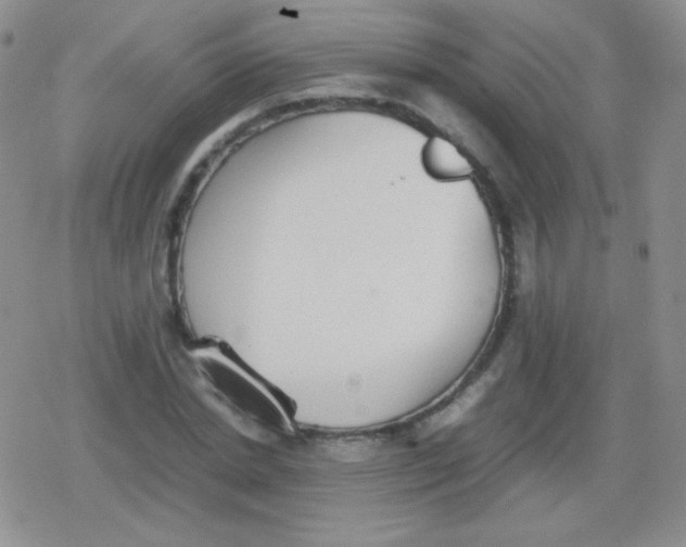 X0000079320830200612081932