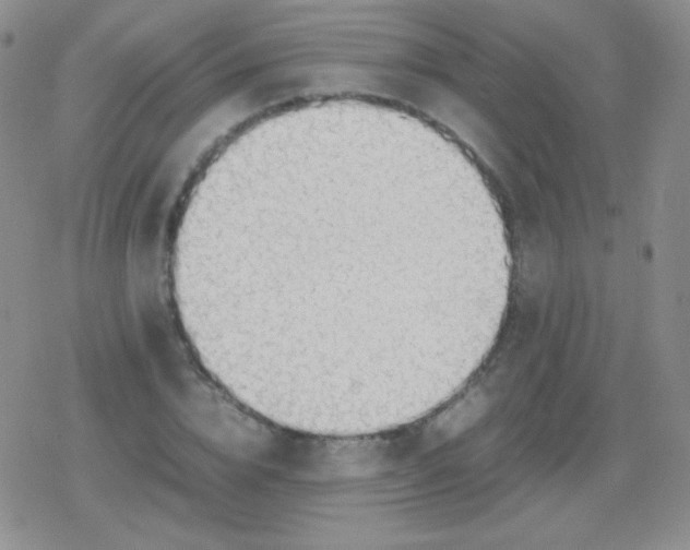 X0000079320832200612081932