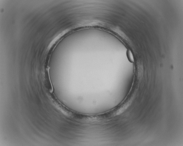 X0000079320834200612081932