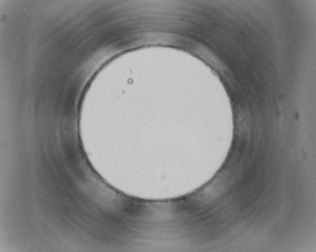 X0000079320836200612081932