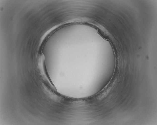 X0000079320838200612081932