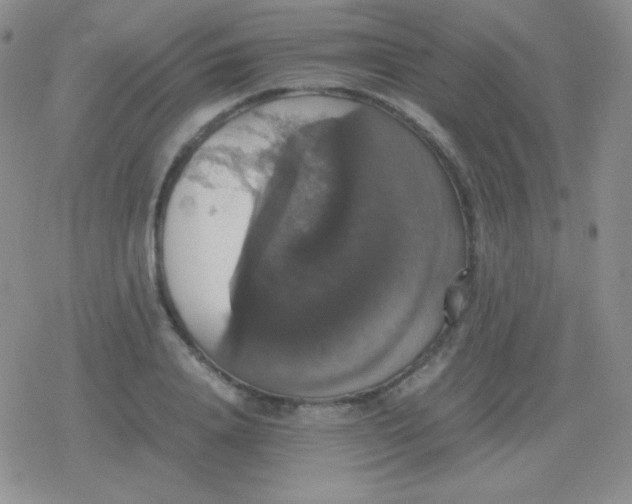 X0000079320840200612081932