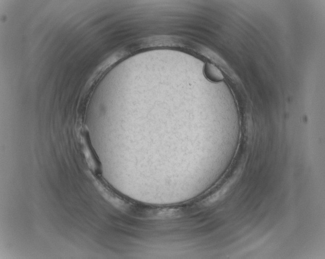 X0000079320841200612081932