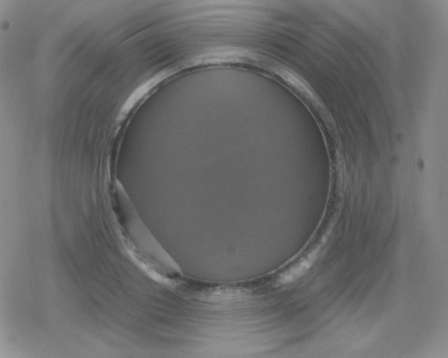 X0000079320842200612081932