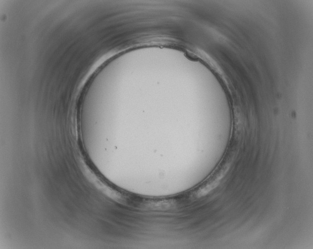 X0000079320843200612081932