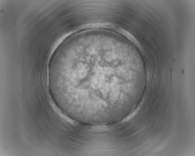 X0000079320844200612081932