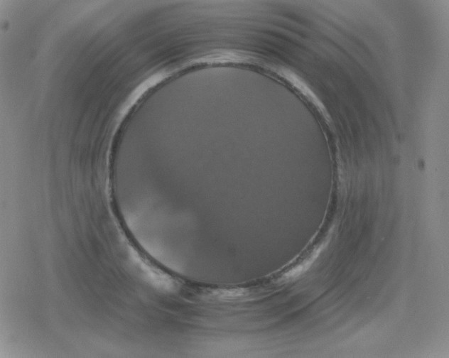 X0000079320845200612081932