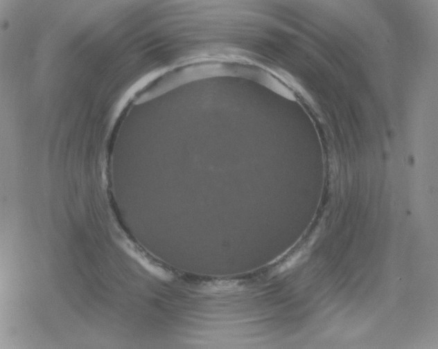 X0000079320846200612081932