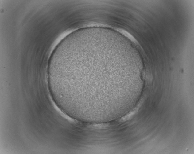 X0000079320847200612081932