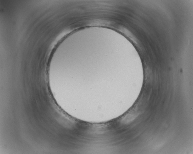 X0000079320848200612081932